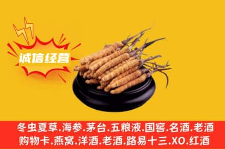 东莞市高埗镇回收冬虫夏草